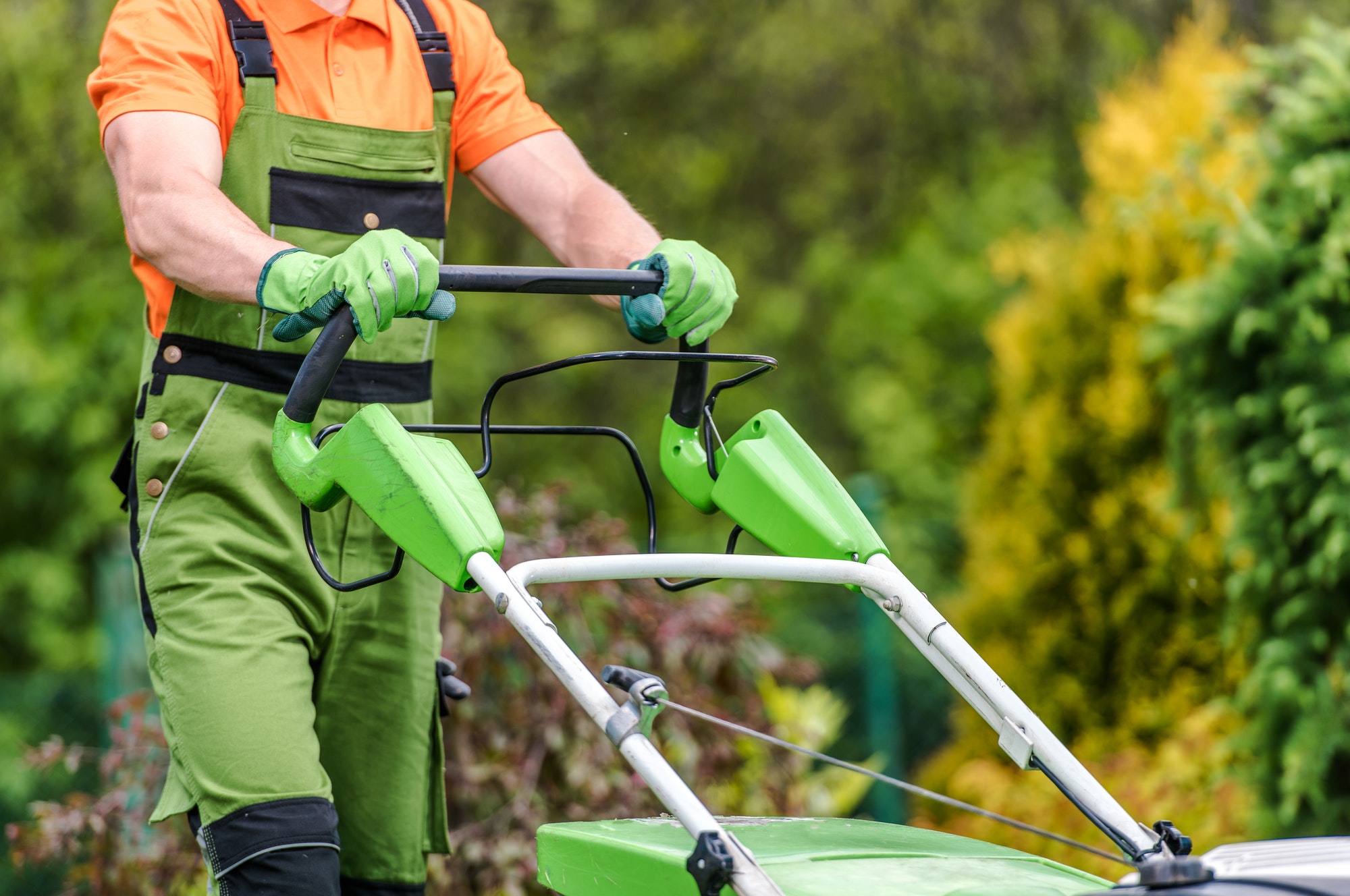 grass-field-mowing.jpg